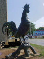 Foto: OSVALDO GUTI�RREZ