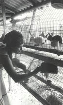 Foto: RA�L L�PEZ