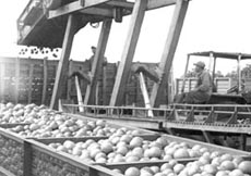 Foto: F�LIX CU�LLAR