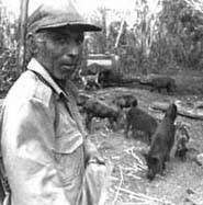 Foto: DIEGO ESTRELLA