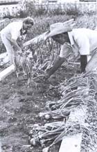 Foto: MODESTO GUTIRREZ