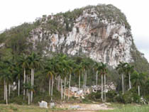 Foto: VICENTE BRITO
