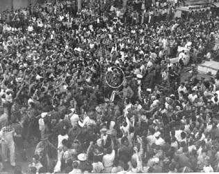 Click para apreciar detalle