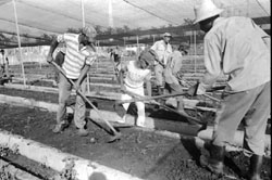 Foto: EFRA�N CEDE�O