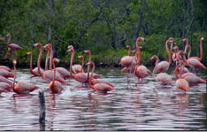 Foto: ROGELIO MORA ROJAS
