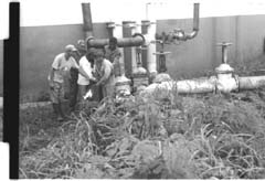 Foto: EFR�N LAURENCIO