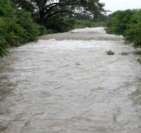 Foto: LEONEL ESCALONA