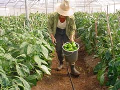 Foto: JUAN CARLOS DORADO