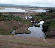 Foto: RA�L L�PEZ 