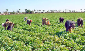 Foto: JOSE M. CORREA