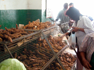 Foto: RAL LPEZ SNCHEZ