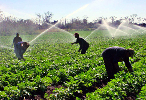 Foto: RA�L L�PEZ S�NCHEZ