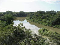 El Cauto transita en todo su esplendor.