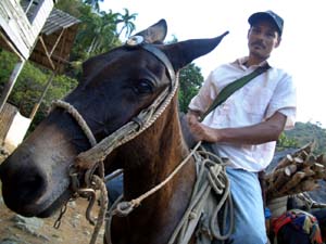 Foto: OTMARO RODR�GUEZ