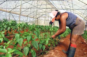 Foto: Ra�l L�pez