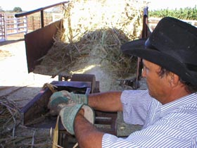 Foto: Jorge Luis T�llez