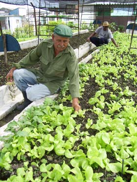 Foto:Modesto Guti�rrez