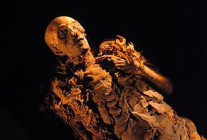 Foto: Discovery Channel