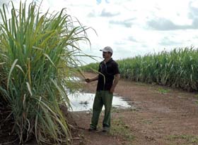 Foto:JOS� M. CORREA