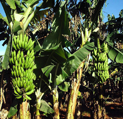 Foto: Luis Carlos Palacio