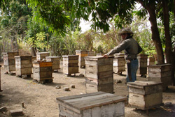 Foto: Luis Carlos Palacio