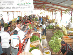 Foto: Luis Carlos Palacio