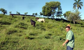 Foto: Ra�l L�pez