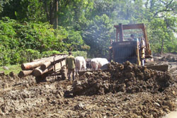 Foto: Jorge Luis y Merencio Caut�n