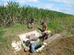 Foto: Sara Sariol Sosa