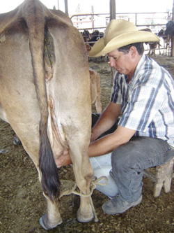 Foto: Jorge Luis Tllez