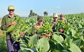 Foto: JORGE L. GONZ�LEZ