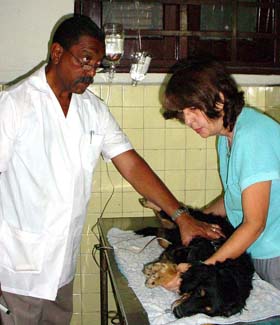 Foto:ALBERTO BORREGO