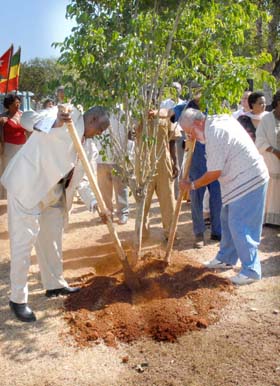 Foto: ALBERTO BORREGO