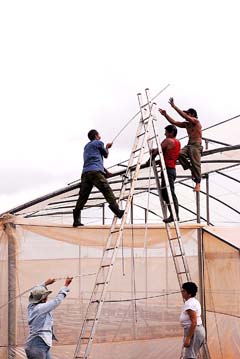 Foto: Arnaldo Santos