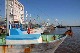 Foto: Rodolfo Blanco Cu (AIN)