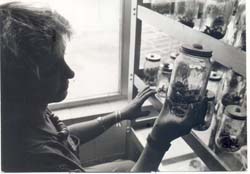 Foto: Mario Ferrer