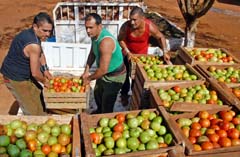 Foto:  Jorge Luis Gonz�lez