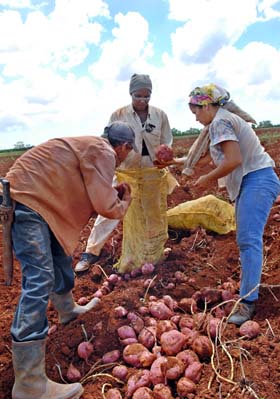Foto: Jorge Luis Gonzlez