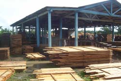 Fotos: Liv�n Lescalle  M�s de 485 m� de madera se han entregado desde septiembre hasta la fecha para la recuperaci�n de las viviendas.