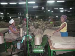 TEXORO puede producir ms de 12 millones de sacos al ao, mientras los contratos nacionales para el 2009 ascienden a 445 000. Para la exportacin sern confeccionados 1 450 000.