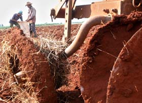 Foto: Yaim� Ravelo