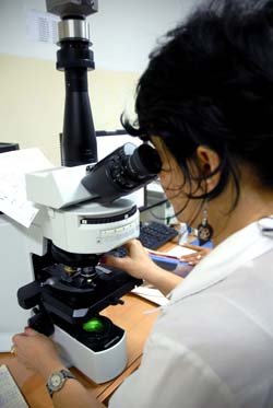 Foto: Alberto Borrego