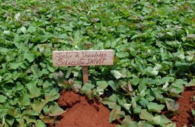 Foto: Jorge Luis Gonz�lez