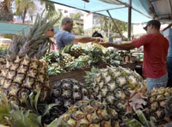 Foto: Ricardo Lpez Hevia 