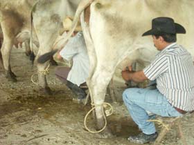 Foto: Pastor Batista