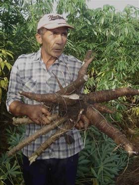 Pas� mucho trabajo, pero ya tengo en las manos el fruto de tanto esfuerzo, asegura satisfecho Luis Escalona Carmenates.