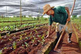 Fotos: Jorge Luis Gonz�lez