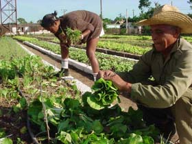La agricultura urbana necesita una marcha pareja en todo el pa�s.