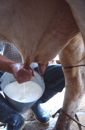 Foto: Juvenal Bal�n