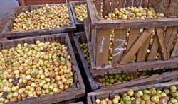 Fotos: JORGE LUIS GONZLEZ y  JUVENAL BALN